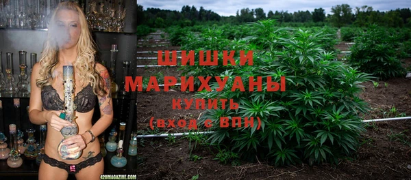 прущие крисы Надым