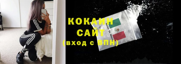 прущие крисы Надым