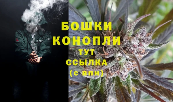 прущие крисы Надым