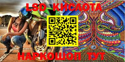 прущие грибы Малоярославец