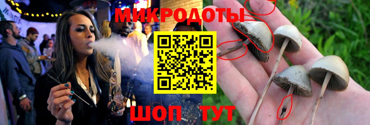 Тосно  Галлюциногенные грибы Magic Shrooms  Вход с VPN 