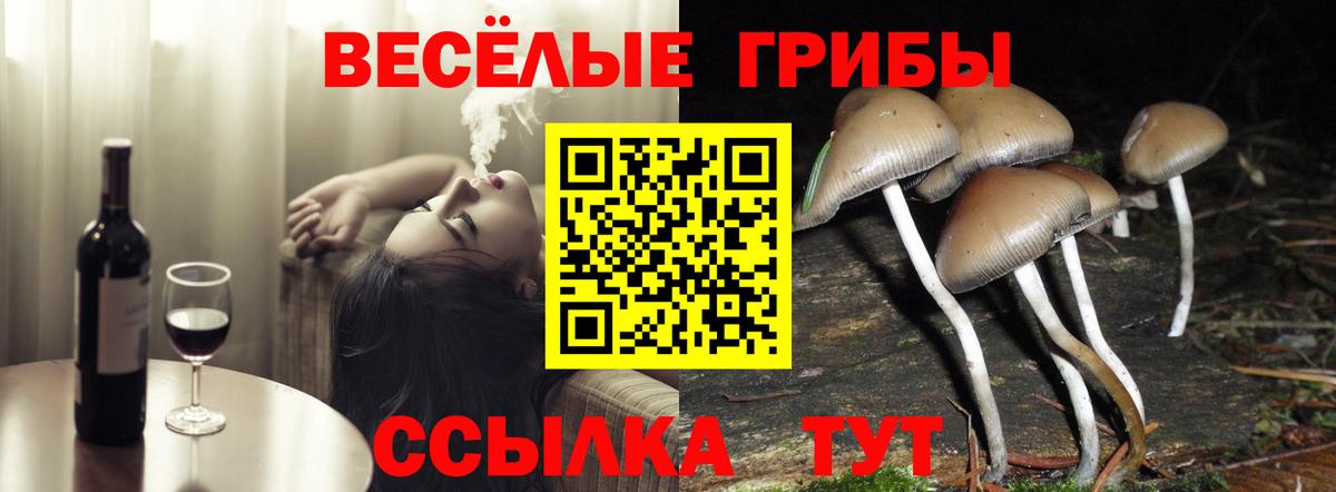 Галлюциногенные грибы ЛСД Тосно